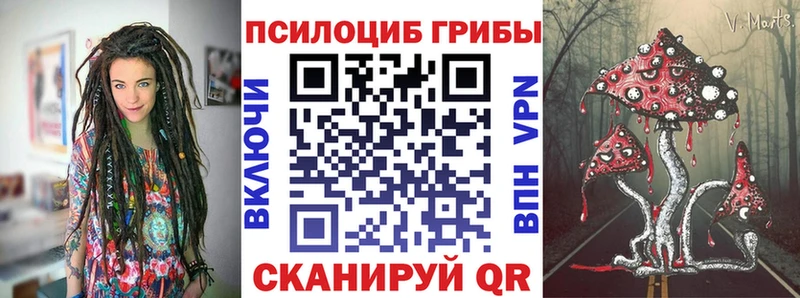 Псилоцибиновые грибы Cubensis  Невинномысск 