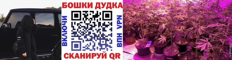 Шишки марихуана индика  Невинномысск 